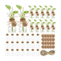 30PCS Plant Propagation Stations 3.35'' Plastic Propagation Jars Clear Vase | Clear Hydroponic Small Vase with Cork