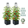 2 Pack Raised Garden Bed Planter Box with Trellis, 57'' Self Watering Tomato Planters for Climbing Plants, Tomato Cage