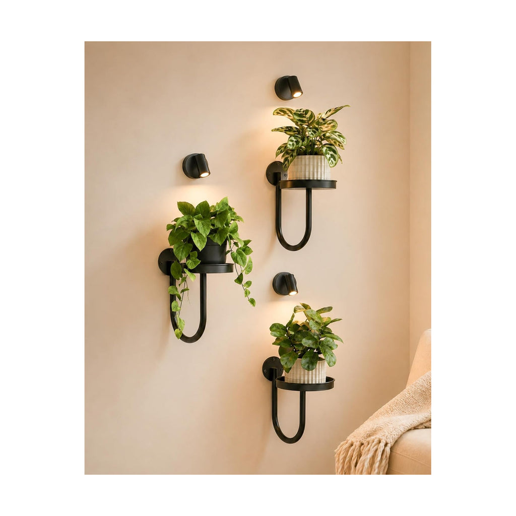 Bamworld Wall Plant Holder with Lights, Black, 3pcs | Thickened Metal, Heavy-duty, Rust Resistant, Remote Control