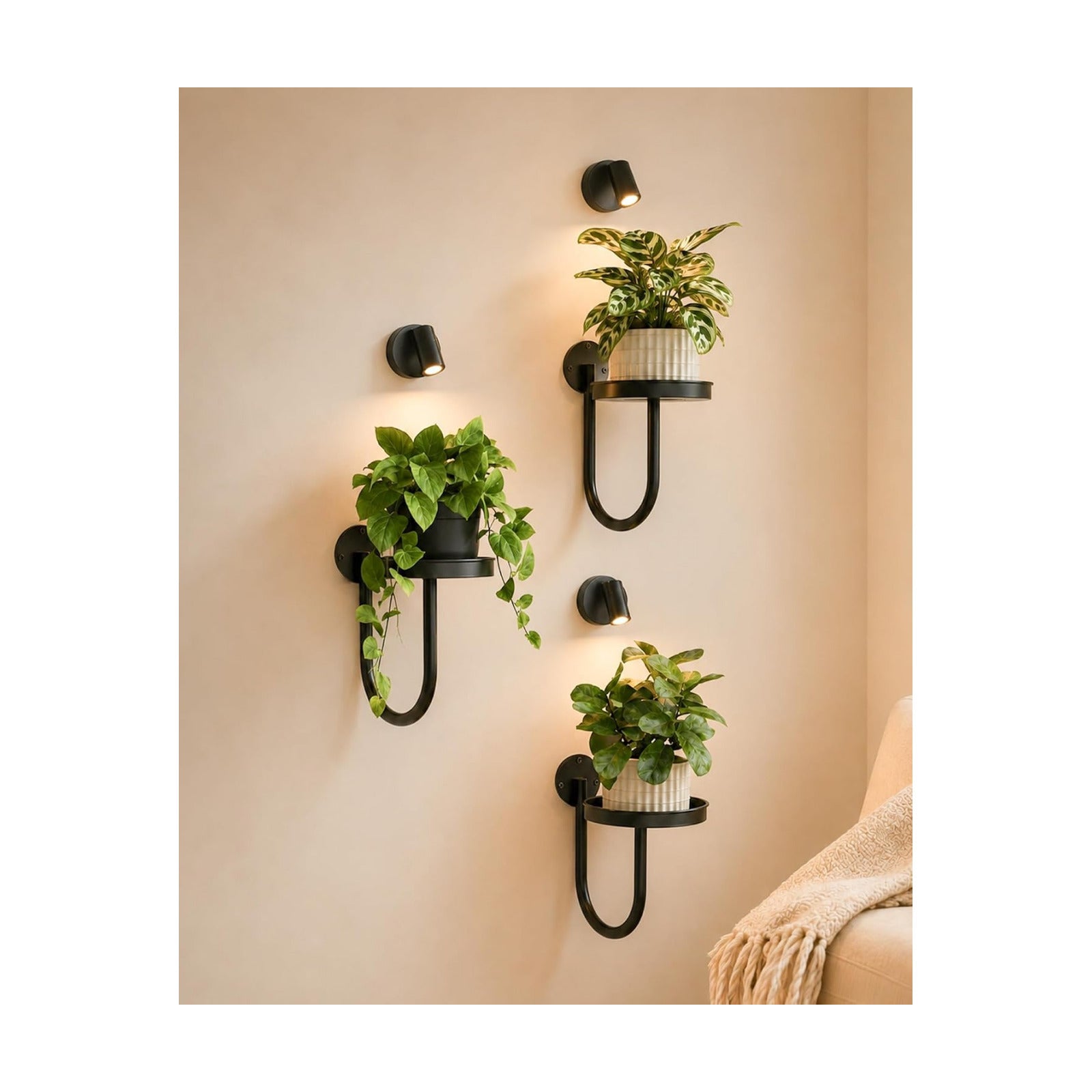 Bamworld Wall Plant Holder with Lights, Black, 3pcs | Thickened Metal, Heavy-duty, Rust Resistant, Remote Control