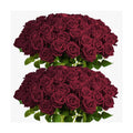 Auihiay 60PCS Burgundy Artificial Roses Bulk, Velvet Silk Fake Roses