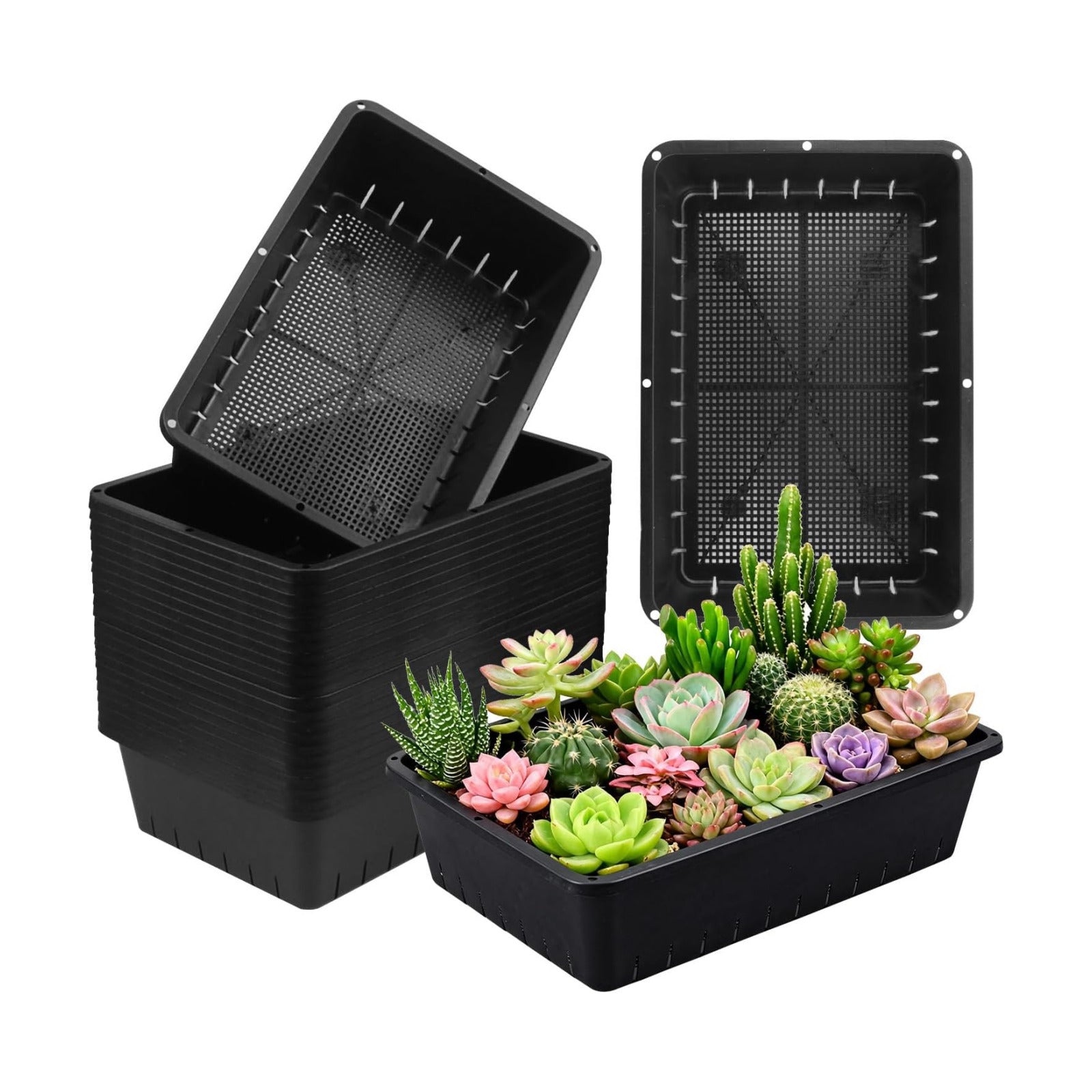 25 Pack Seed Starter Trays 10 x 7 inches Microgreens Growing Trays with Mesh Bottom for Germination, Hydroponic &