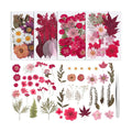 100 Pcs Real Natural Dried Pressed Flowers Pink