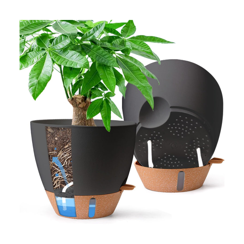 T4U Self Watering Pots for Indoor Plants, 10 Inch, 2 Pack, Black | Visible water level window, Monstera pothos and ZZ