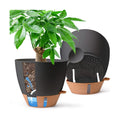 T4U Self Watering Pots for Indoor Plants, 10 Inch, 2 Pack, Black | Visible water level window, Monstera pothos and ZZ