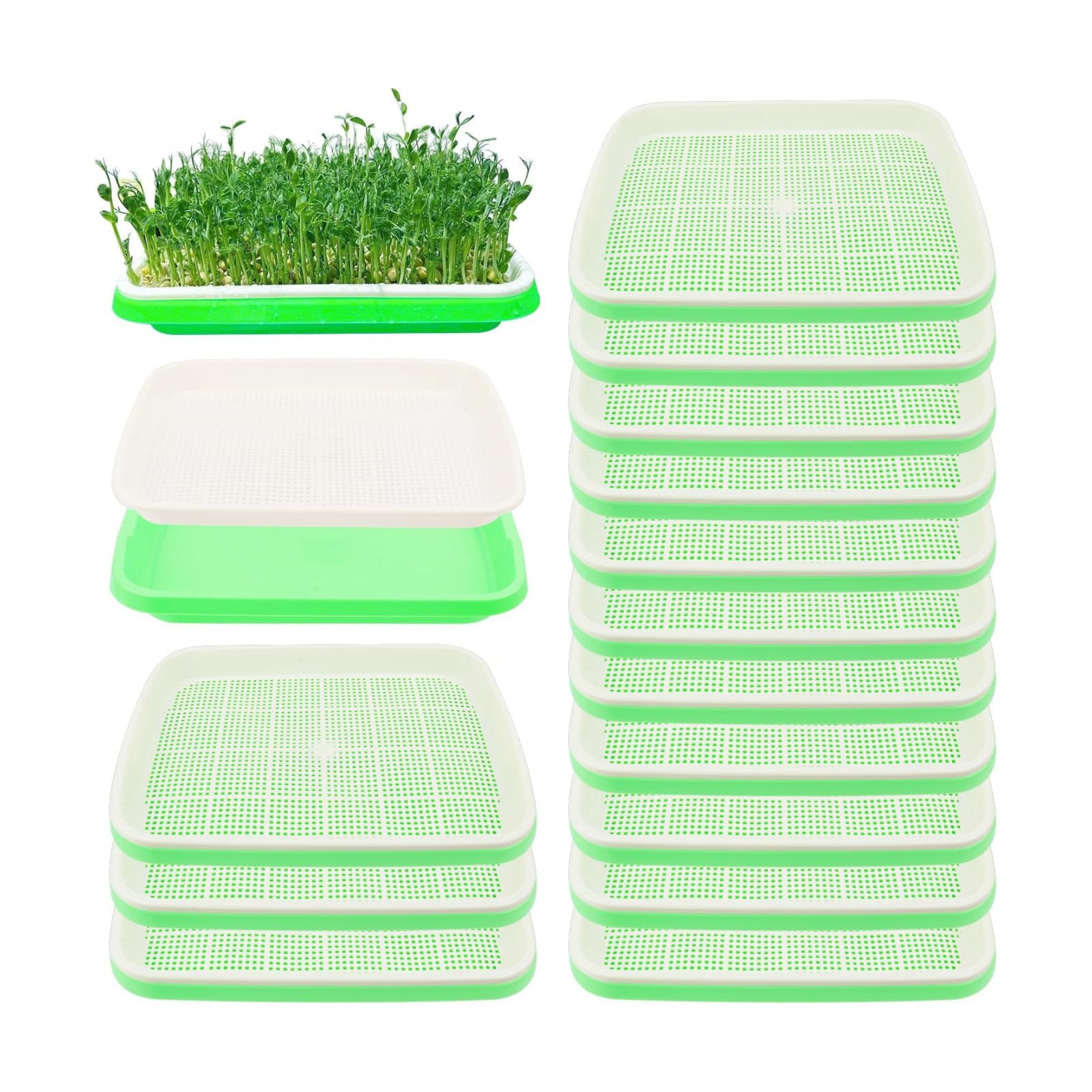 20 Pack 12.6 x 10 x 1.8 inch Microgreens Growing Trays, BPA-Free Sprouting Trays, Germination Tray for Beans