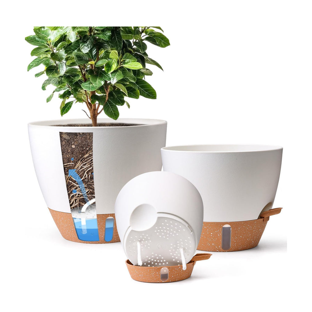 T4U Self Watering Pots for Indoor Plants, 8-12 Inch, 3 Pack, White | Visible water level window, Pothos and monstera
