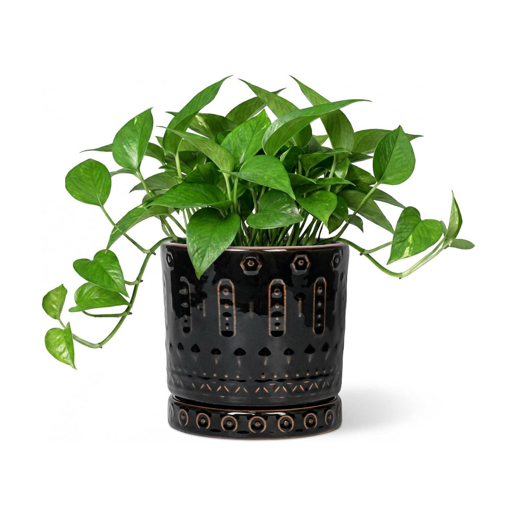 Eightpot 6 Inch Plant Pot, Ceramic Pots for Plants with Drainage Hole and Saucer, Round Planter for Indoor Outdoor