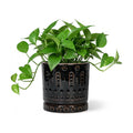 Eightpot 6 Inch Plant Pot, Ceramic Pots for Plants with Drainage Hole and Saucer, Round Planter for Indoor Outdoor