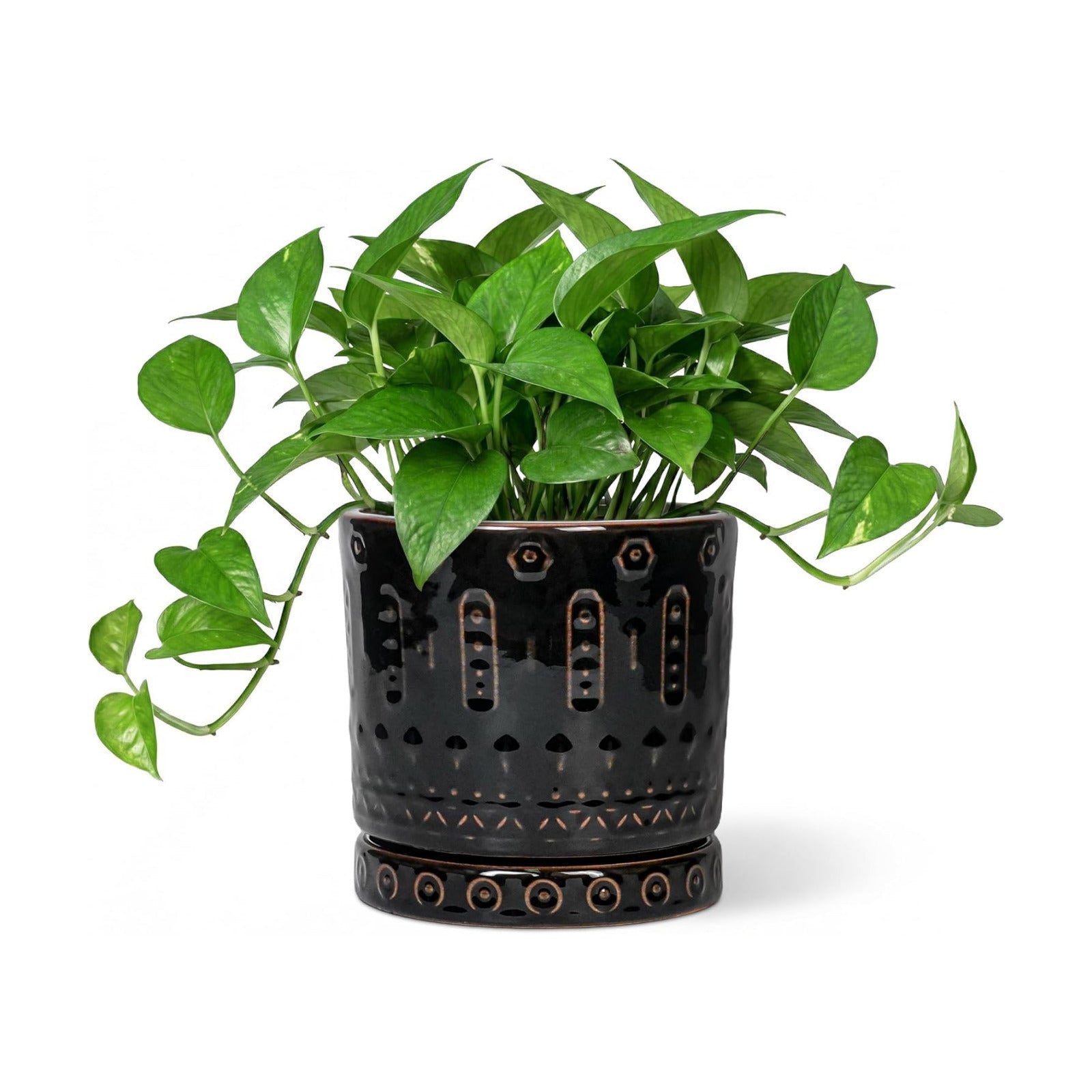 Eightpot 6 Inch Plant Pot, Ceramic Pots for Plants with Drainage Hole and Saucer, Round Planter for Indoor Outdoor