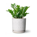 Eightpot 8 Inch Plant Pot, Ceramic Planter for Indoor Plants Outdoor, Round Planter with Drainage Hole and Tray, Boho