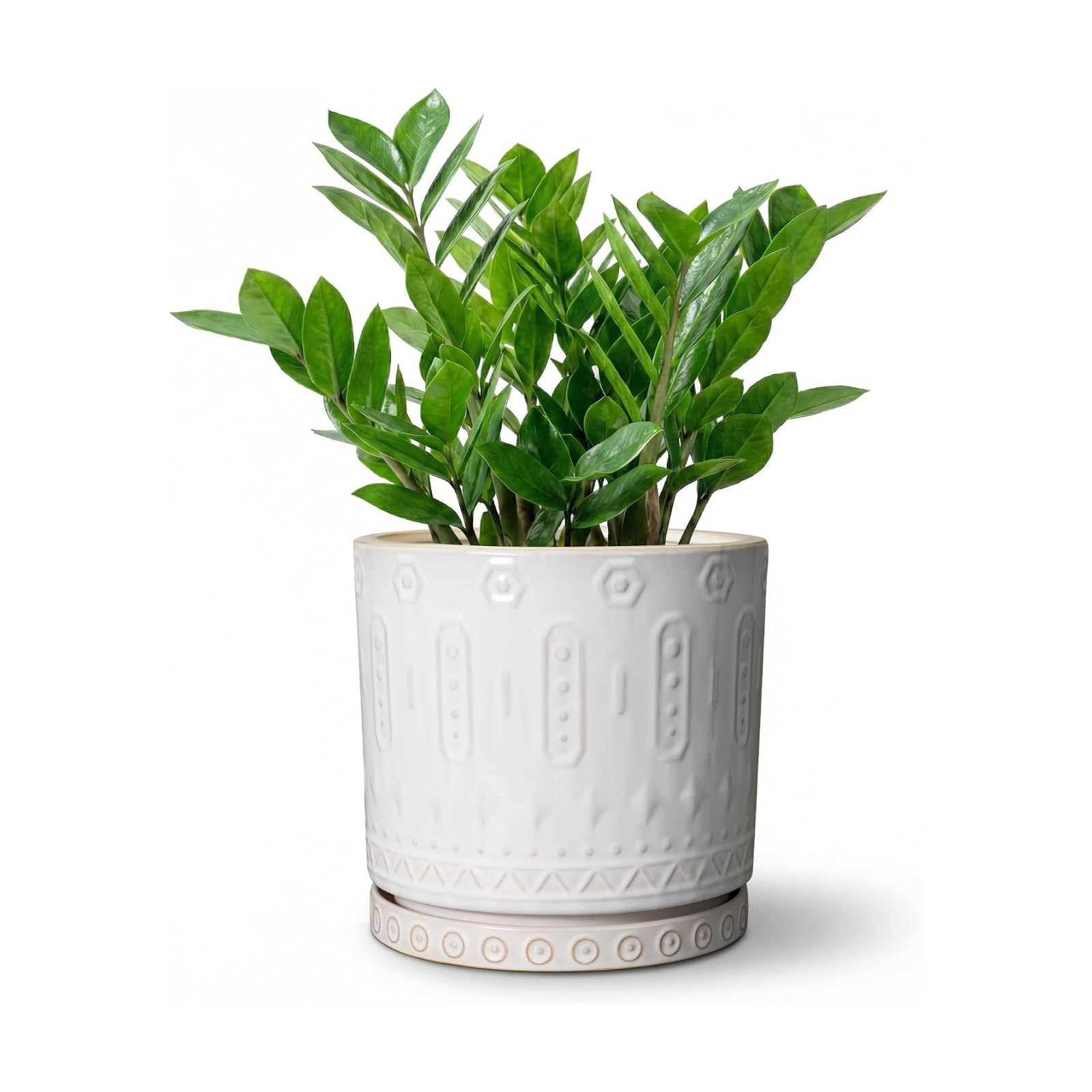 Eightpot 8 Inch Plant Pot, Ceramic Planter for Indoor Plants Outdoor, Round Planter with Drainage Hole and Tray, Boho