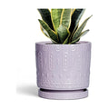 Eightpot Ceramic Pots for Plants, 6 Inch Plant Pot for Indoor Outdoor Plants, Round Planter with Drainage Holes and