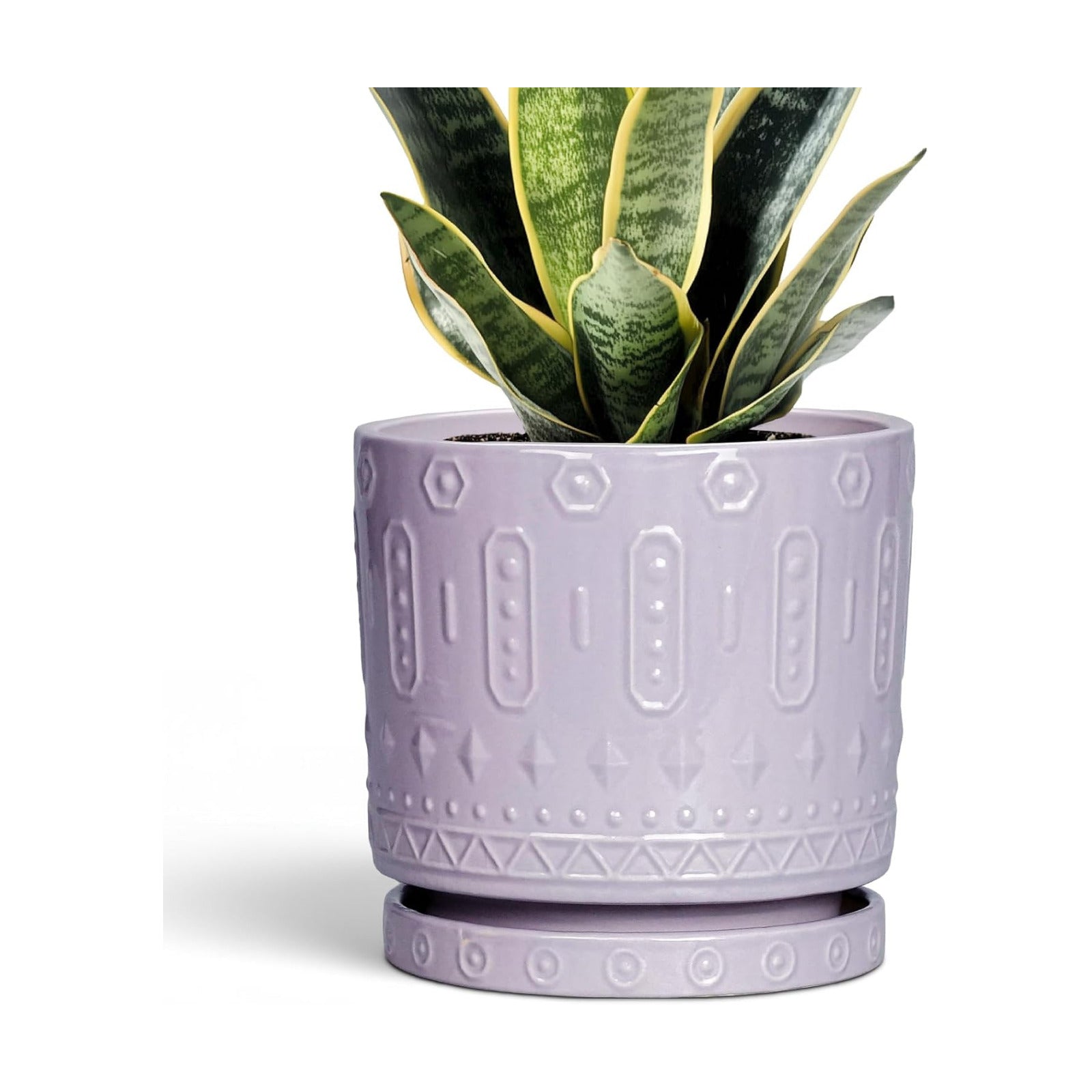 Eightpot Ceramic Pots for Plants, 6 Inch Plant Pot for Indoor Outdoor Plants, Round Planter with Drainage Holes and