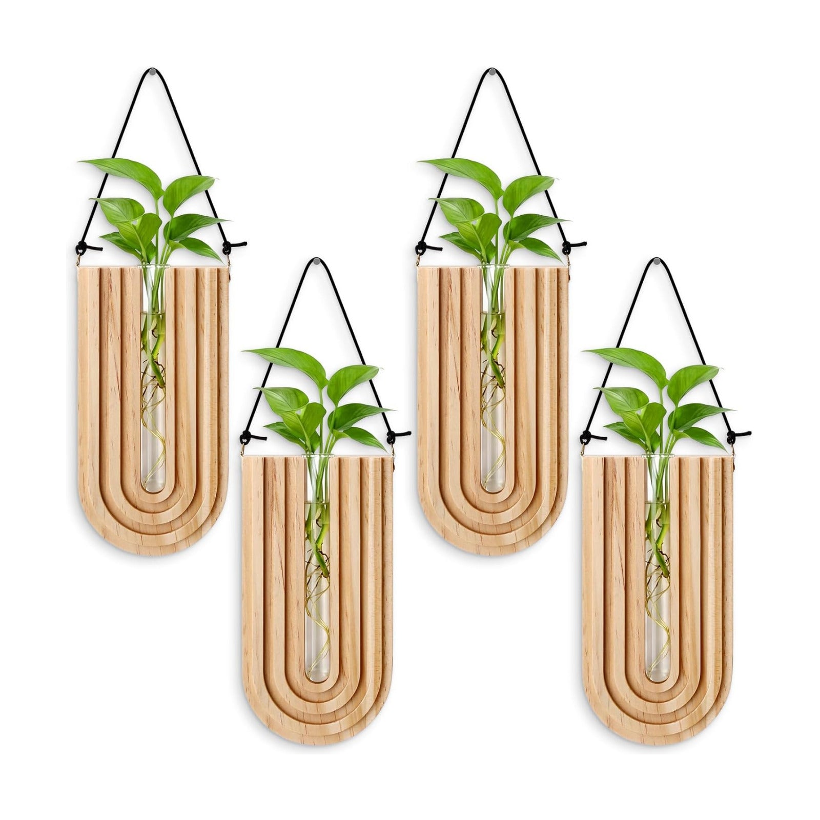 Set of 4 Wooden Wall Planter Vase Hanging Propagation Stations Glass Plant and Flower Vases Wall Plant Holder for