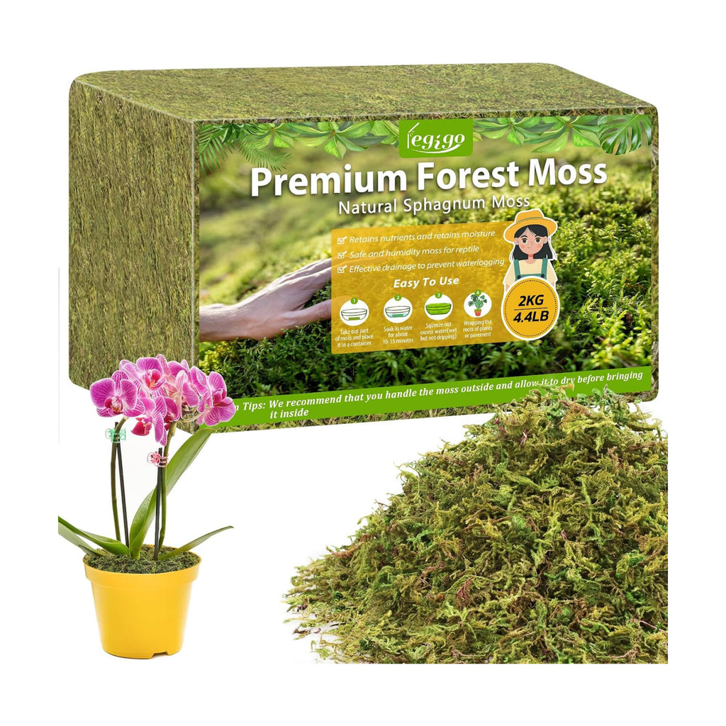 4.4LB Sphagnum Moss for Plants, 80QT Natural Long Fiber Orchid Moss | Drainage & Moisture Retention, Green Plant Moss