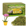 4.4LB Sphagnum Moss for Plants, 80QT Natural Long Fiber Orchid Moss | Drainage & Moisture Retention, Green Plant Moss