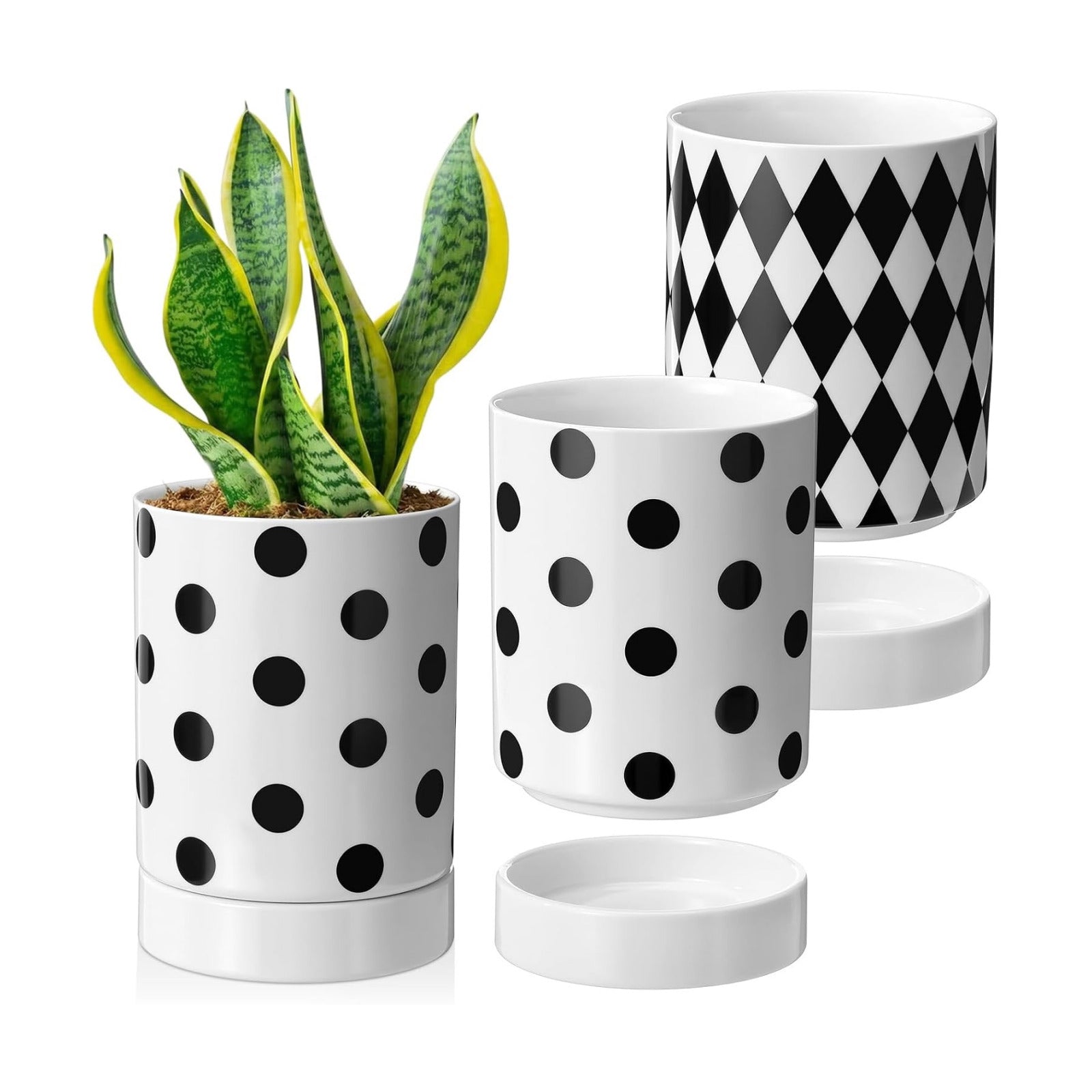 Ceramic Plant Pots Set of 2, 6 Inch Flower Pots with Drainage Hole Modern Polka Dot Diamond Planter for Indoor Outdoor