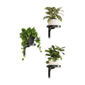 Bamworld Wall Plant Holder indoor Metal Plant Wall shelf 3 Pcs Wall Mounted Plant Holder Plant Hangers for Indoor
