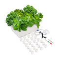 Hydroponics Growing System Kit with Air Pump, Bubble Stone | 12-Hole Indoor Hydroponic System Grow Box, Indoor