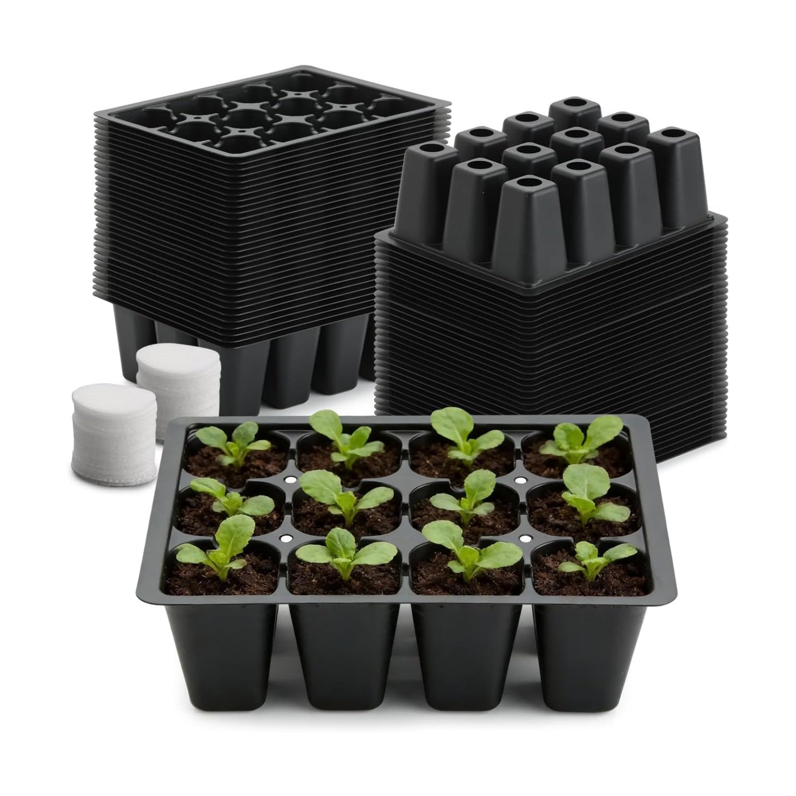 RooTrimmer 60 Pack Reusable 12-Cell Seed Starter Tray, Plant Starter Trays with Large Drainage Holes for Seed