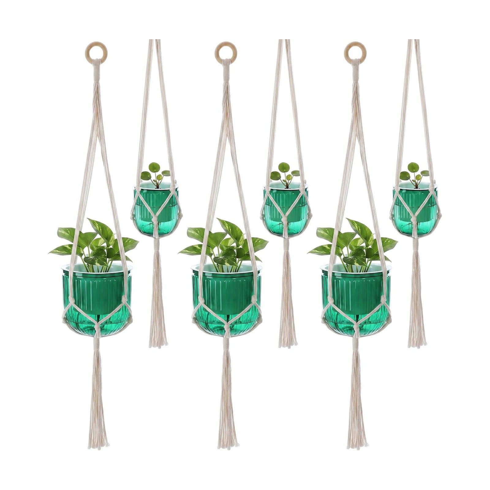 Hanging Planter Set of 6 Self Watering Indoor Flower Pots with Water Level Indicator Modern Plant Hangers for Indoor