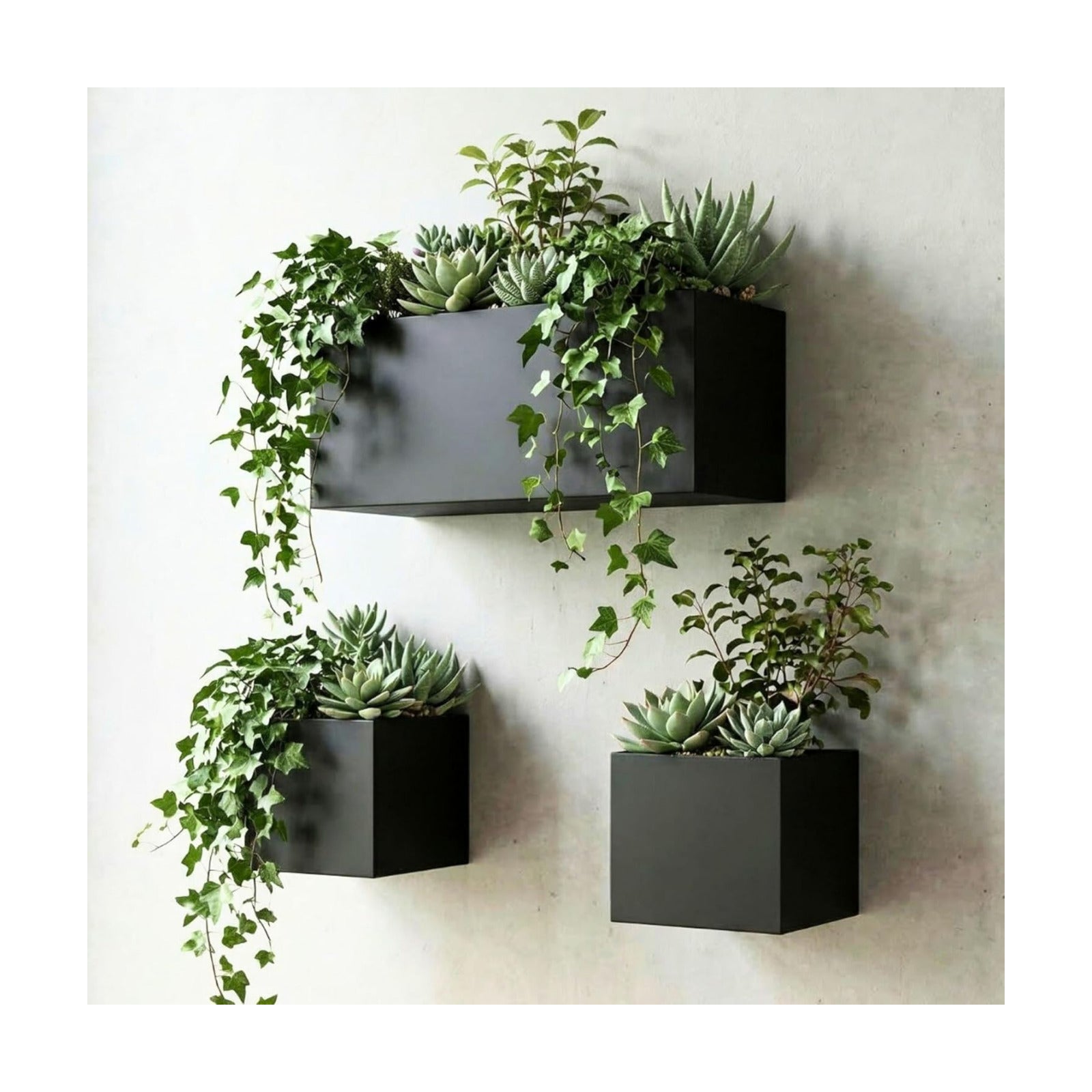 LaLaGreen Wall Planters (3-Pack Set) Rectangular Wall Mounted Hanging Flower Boxes for Indoor Plants, Black Carbon