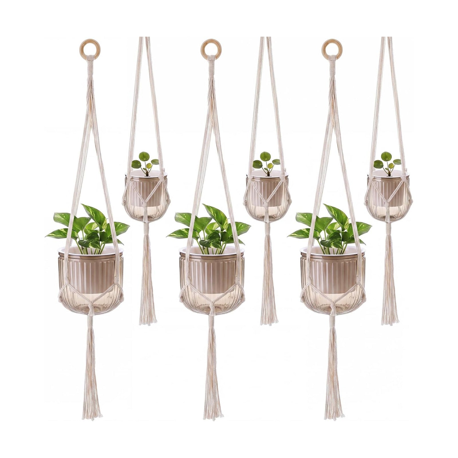 Hanging Planter Set of 6 Self Watering Indoor Flower Pots with Water Level Indicator Modern Plant Hangers for Indoor