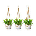 USLAI Macrame Plant Hanger, Fits 4 to 15 Inch Pots, 35 Inch, Brown, 3 Pack | Strong Hanging Plant Holder for Indoor
