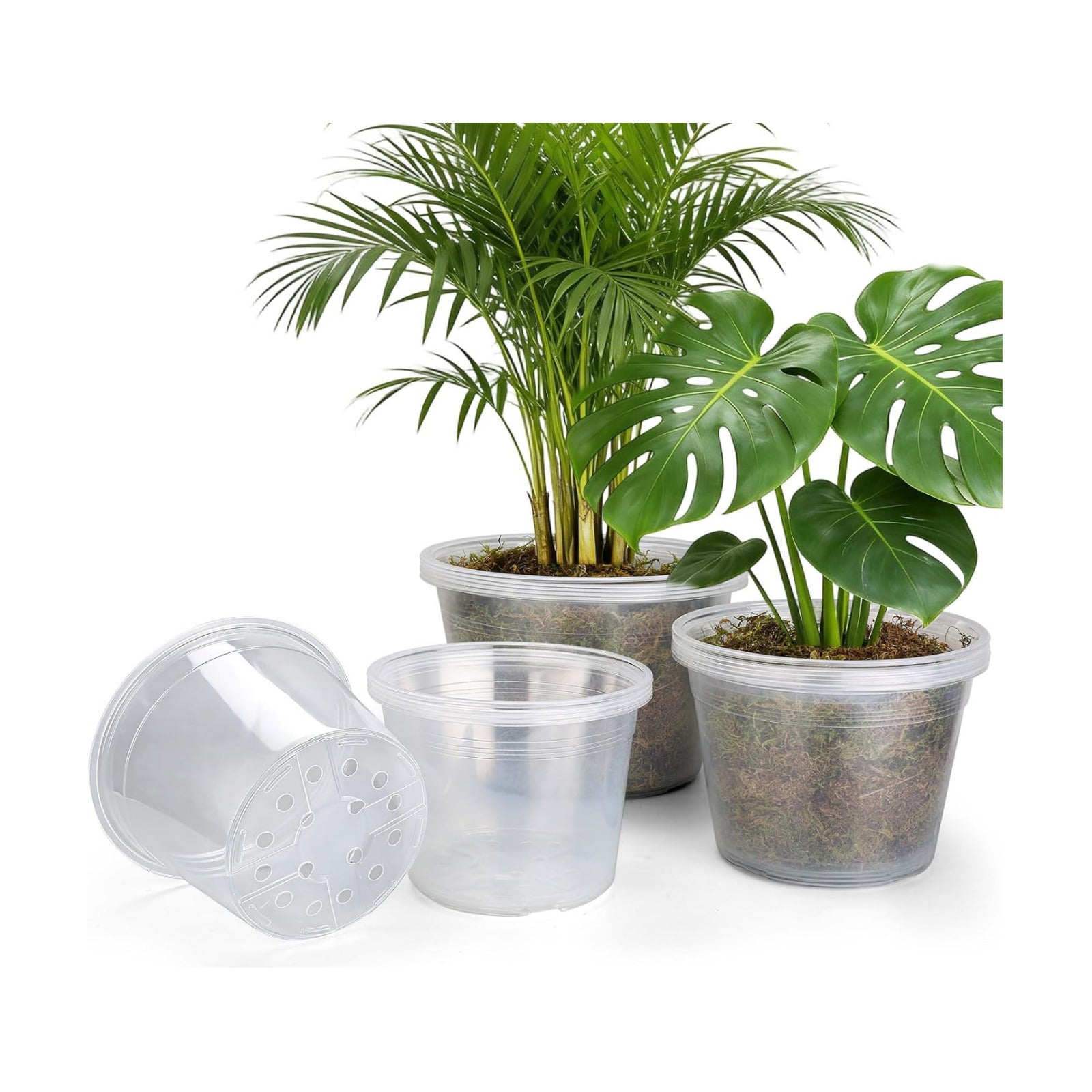 15 Pack 8/10/12 Inch Large Clear Nursery Pots with Drainage Hole, Plastic Plant Pots for Seedling Flower Vegetable
