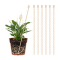 Pelopy 6 Pcs 24'' Large Electroculture Plant Stakes Copper Coil Plant Stakes for Garden Wire Antennas Garden Tensor