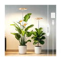 SDOVUERC Full Spectrum Grow Lights for Indoor Plants – Adjustable Height Plant Lamp with Wood‑Grain Finish, 6/12/18H