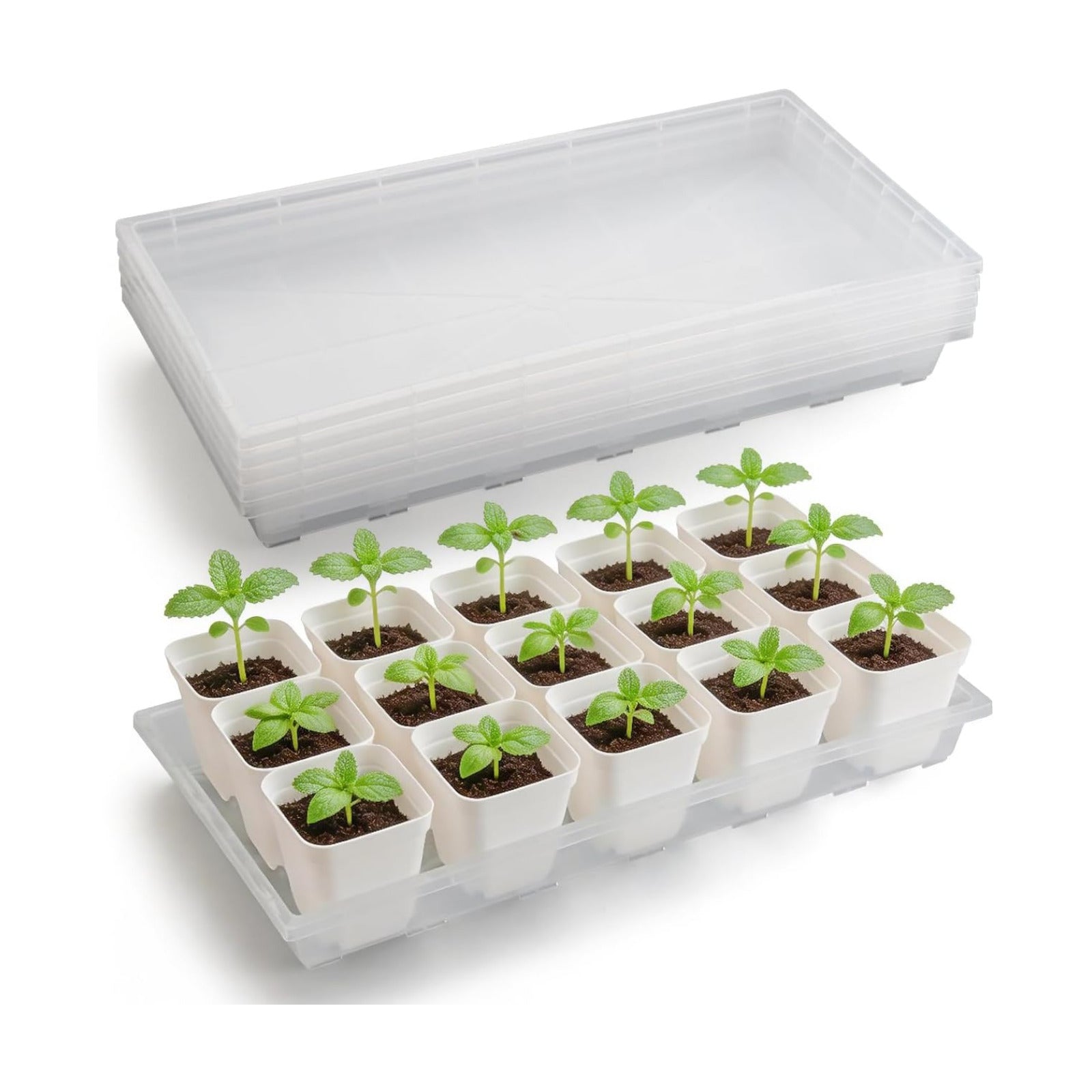 RooTrimmer 1020 Nursery Pot Trays 5 Pack, Transparent Plastic Flat Seed Starter Tray, Durable Square Seedling Starting