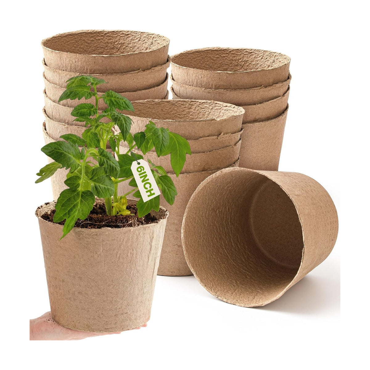Karenhi 16 Pcs Peat Pots 6 Inch Biodegradable Organic Seed Starting Pots with Drainage Holes Round Nursery Plants for Vegetables, Herbs, Flowers Indoor Garden Germination