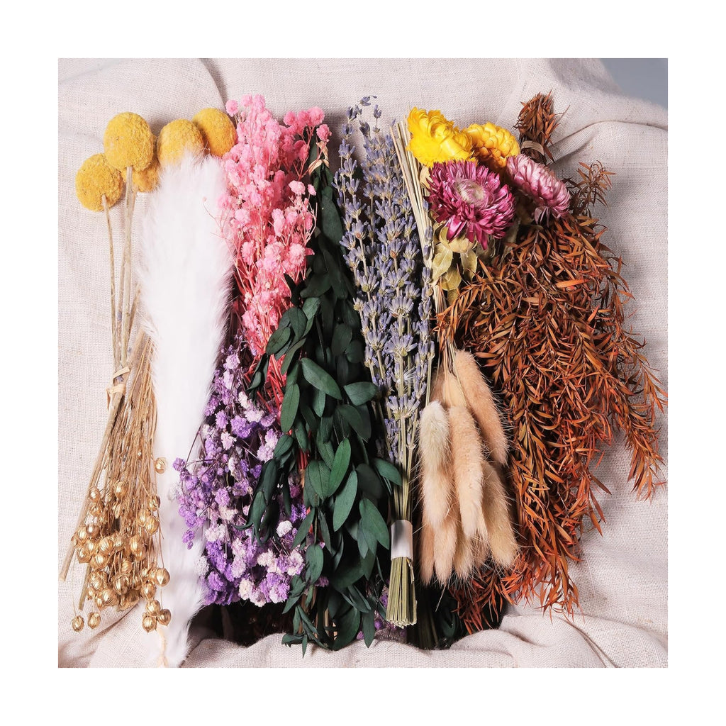 10 Kinds Natural Dried Flower Set, Bulk Dried Flowers for Vase,Mini Dried Flower Bouquets,Dried Flowers with Stems for DIY Crafts, Vase Decor,Home/Wedding/Birthday Decor(7.9-9.84in Flexible Stems)
