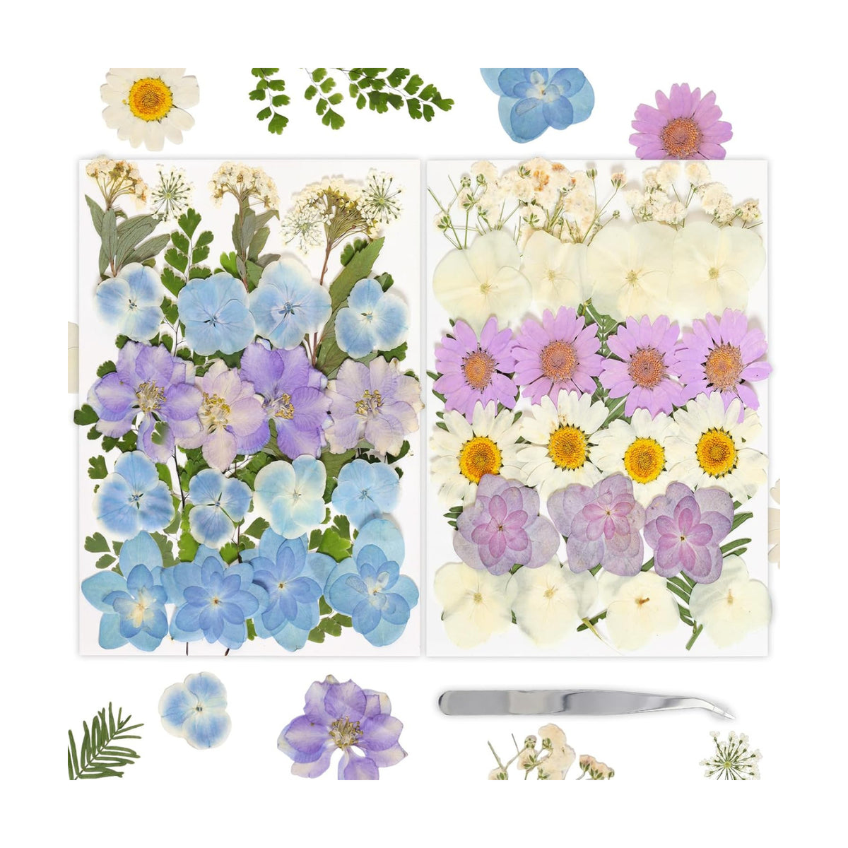 Dried Pressed Flowers Real Pressed Flowers Natural Dry Leaves Bulk Mixed Colorful Herbs Kit with Tweezers for Scrapbooking DIY Candle Jewelry Crafts Making Nails (White, Purple, Blue)