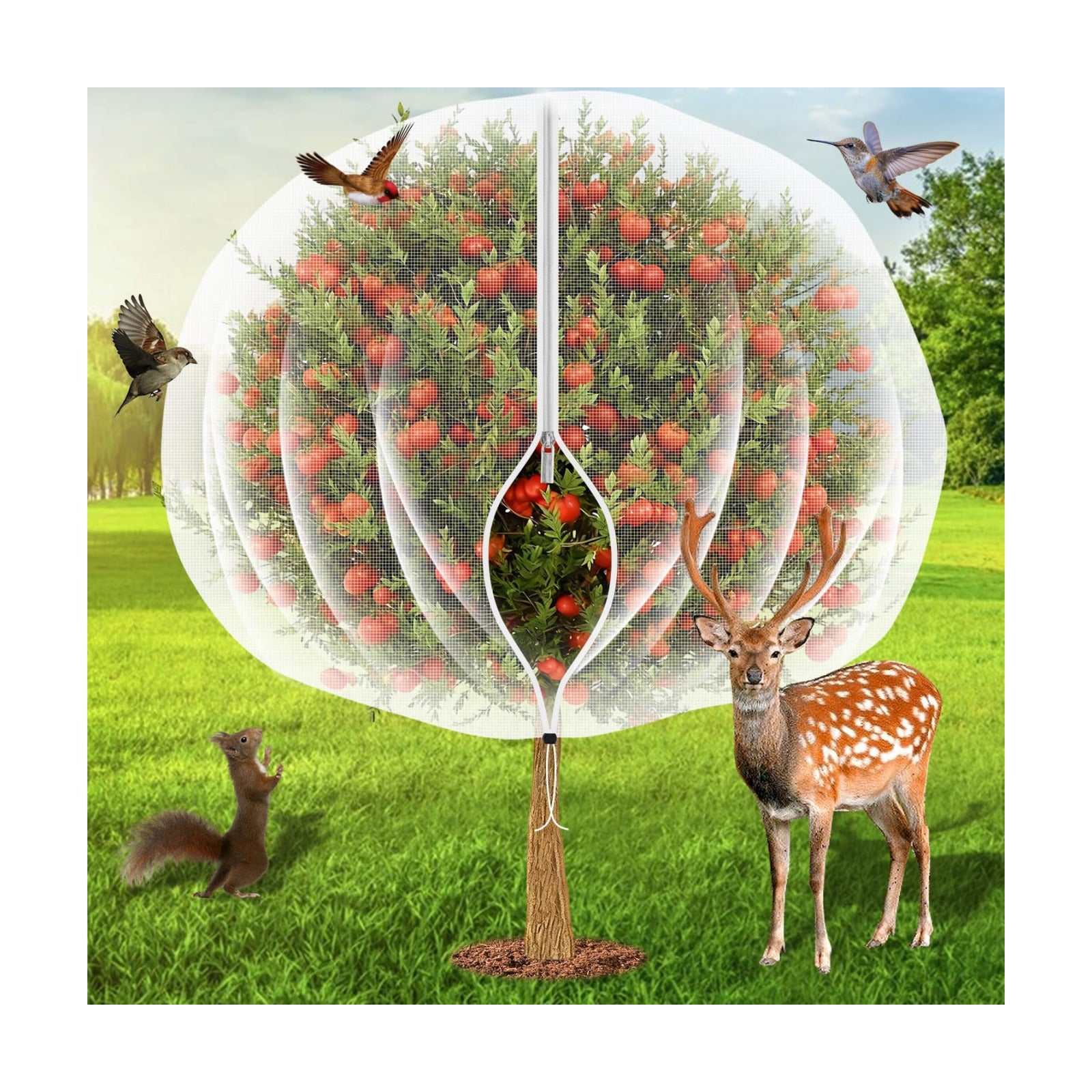 10'x10' Fruit Tree Netting Cover with Zipper and Drawstring | Ultra-Fine Mesh Garden Plant Insect Pest Net Barrier to