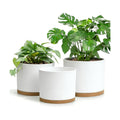 Large Plant Pots Set of 3 – 8", 9", 10" Indoor Flower Pots with Drainage Holes and Saucers, Big Planters for Monstera