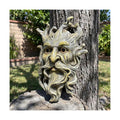 10.1" Whimsical Tree Face Sculpture, Garden Peeker Statue, Outdoor Trunk Tree Huggers Art, Landscape Accent Ornament, Hanging Fairy Elve Figurine for Yard Art, Trees Decor Wall Mounted Statues