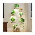 Plant Stand Indoor with Grow Light - 8 Tiered Corner Plant Shelf Indoor