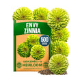 HOME GROWN Zinnia Seeds, Envy, 500 Seeds, Zinnia elegans