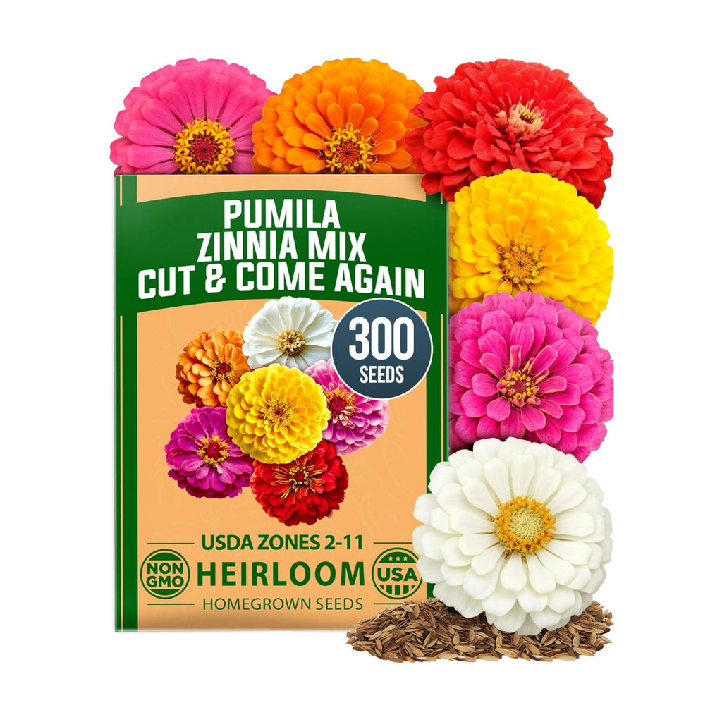 HOME GROWN Zinnia Seeds, Pumila Mix, 300 Seeds, Zinnia elegans
