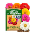 HOME GROWN Zinnia Seeds, Pumila Mix, 300 Seeds, Zinnia elegans