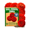 HOME GROWN Zinnia Seeds, Will Rogers, 150 Seeds, Zinnia elegans