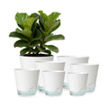 2026 Upgraded Self Watering Plant Pots with Drainage Hole, 8/7/6.5/6/5.5/5/4 Inch Flower Planting Containers for House