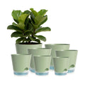 2026 Upgraded Self Watering Plant Pots with Drainage Hole, 8/7/6.5/6/5.5/5/4 Inch Flower Planting Containers for House