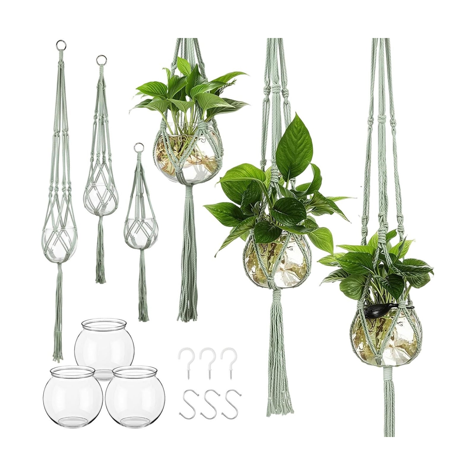 Colingmill 6 Pcs Plastic Plant Propagation with Boho Macrame Hanger Wall Plant Propagation Station Hanging Holder