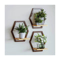 3 Pack Hexagon Wall Plant Stands, 9 Inch Wood Shelf, Coffee | Soild Wood,Metal Framework,Wall Plant Stand,Natural Wood
