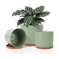 3 Pack Cylinder Planter Set 10/9/8 Inch White Indoor Plant Pots | Modern flower pots with drainage holes and saucers.