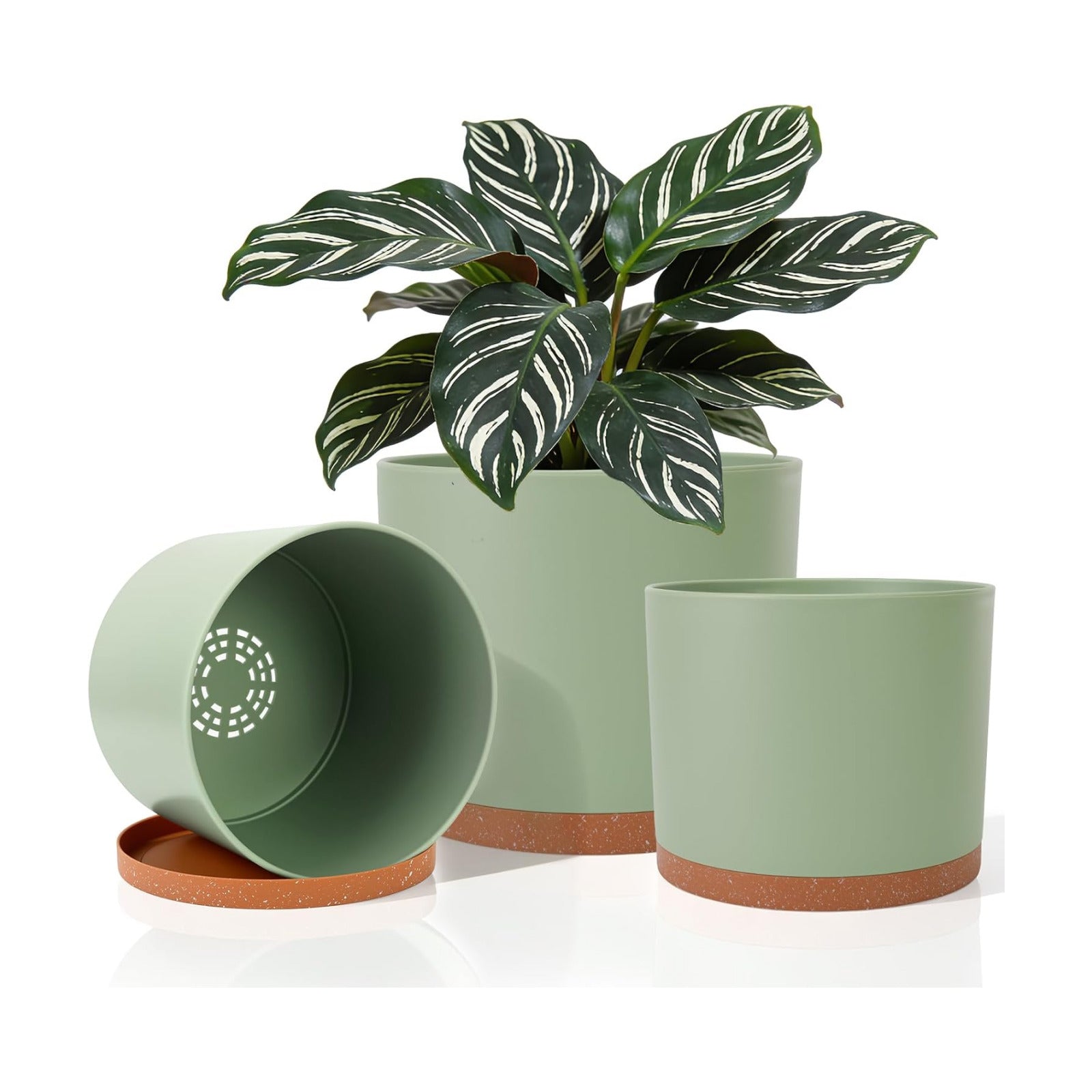 3 Pack Cylinder Planter Set 10/9/8 Inch White Indoor Plant Pots | Modern flower pots with drainage holes and saucers.